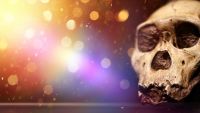 Evolution and the Brain