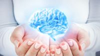 Parallels between Development and Evolution