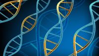 Genes and Environments Together