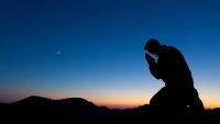 Roots of Religion, Aggression, and Prejudice