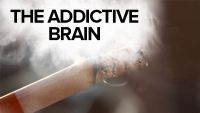 The Addictive Brain