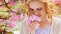 Do You Have 5 Independent Senses?
