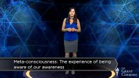 Are You Always Conscious while Awake?