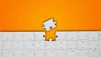 Opponent Process for Perception and Life