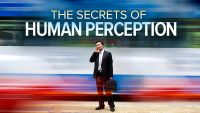 Understanding the Secrets of Human Perception