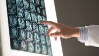 A New Perspective on Ancient Questions