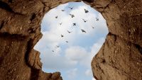 Why Do We Have a Spiritual Brain?