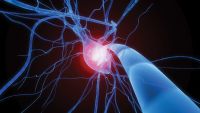 Brain Function and Religion