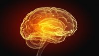 Religion and Brain Dysfunction
