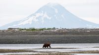 Volcanoes of Alaska: Katmai and Lake Clark