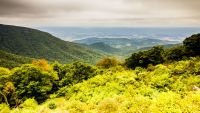 Shenandoah: The Collision of Old Continents