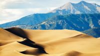 Great Dune Fields of North America
