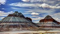 Petrified Forest and Other Fossil Parks