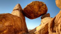 Big Bend on the Rio Grande and Saguaro