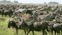 African Rift Valley-Cracks into the Earth