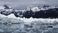 Columbia Glacier-Unusual Glacier Cycles