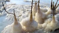 The Dead Sea-Sinking and Salinity