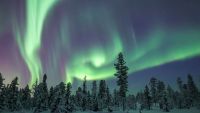 Auroras-Light Shows on the Edge of Space
