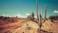Rain and Heat-Forces That Shape Climate