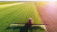 The Ecological Consequences of Agriculture