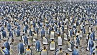 Population Growth and Its Natural Limits