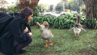 Designing Spaces for Wildlife