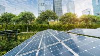 Toward Sustainable Urban Ecosystems