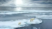 Climate and Habitat-Twin Ecological Crises