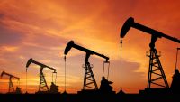 Humans as Energy Consumers