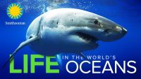 Life in the World's Oceans