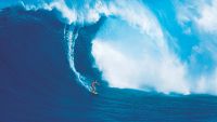 Waves-Motion in the Ocean