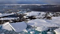The Warming, Rising Sea