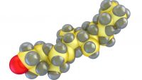 Biomolecules-Select, Concentrate, Assemble