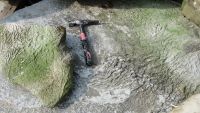 Microbial Mats and Which Minerals Can Form