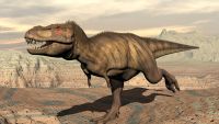 From the "Great Dying" to Dinosaurs