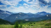 Coevolution of Geosphere and Biosphere