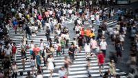 The End of Global Population Growth