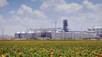 The Agricultural Puzzle