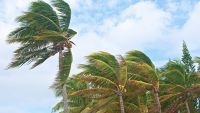 Low Pressure and Earth's High Winds