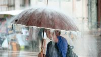 Extreme Humidity, Rain, and Fog