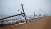 Ice Storms: Freezing Rain Takes Over
