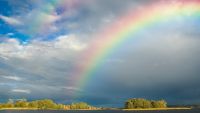 The Rainbow Connection