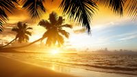 Sunrise, Sunset