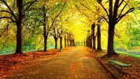 The Reason for the Seasons