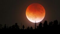 Lunar Phases and Eerie Lunar Eclipses