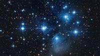 The Diverse Sizes of Stars