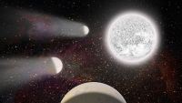 White Dwarfs and Nova Eruptions