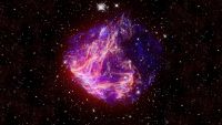 The Corpses of Massive Stars
