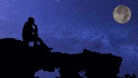 Reflections on Life and the Cosmos