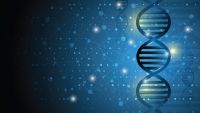 Mass-The DNA of Stars
